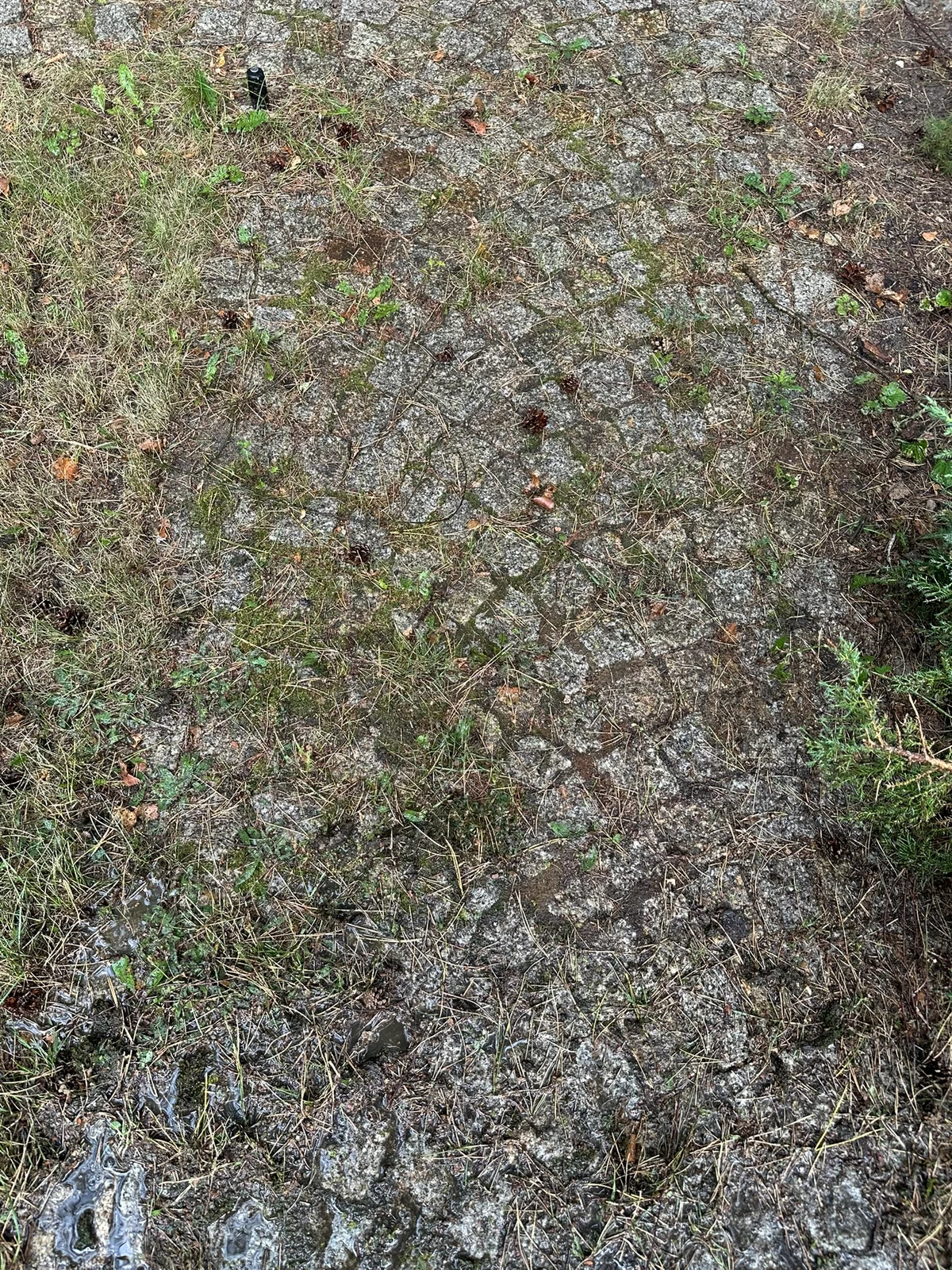 Czyszczenie kostki granitowej - przed