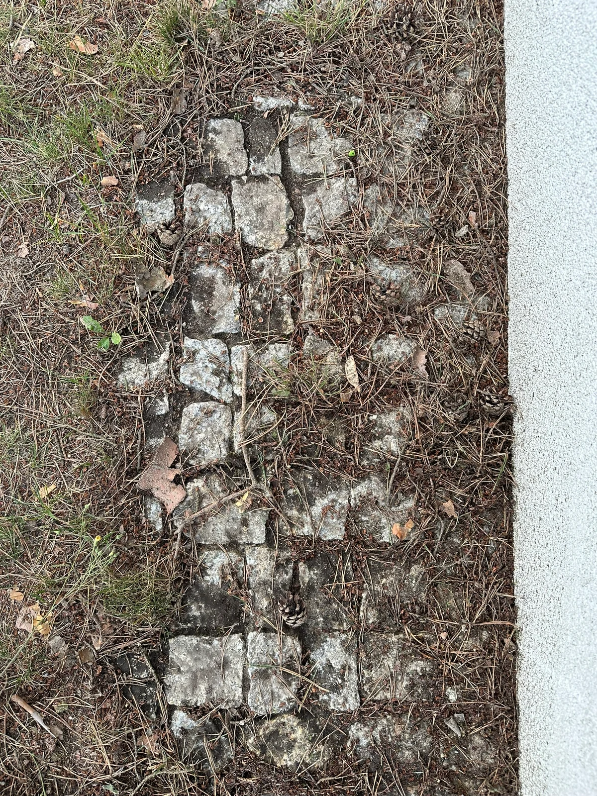 Kostka granitowa - przed